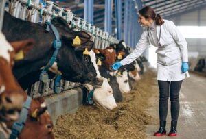 Innovación tecnológica respalda consumo seguro de leche y carne