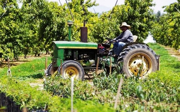 Peor saldo comercial agroalimentario en una década