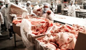 Suspende Senasica importación de carne de cerdo de EUA