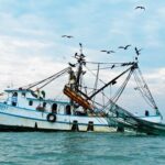 Renovó EUA a México certificación para exportar camarón