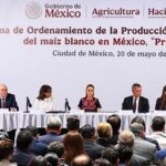 Precio justo al maíz para los ciclos 2026 y 2027: CSP
