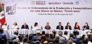Precio justo al maíz para los ciclos 2026 y 2027: CSP