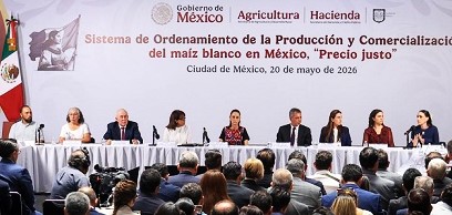 Precio justo al maíz para los ciclos 2026 y 2027: CSP
