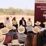 Exportarán ganaderos de Sonora carne a Estados Unidos