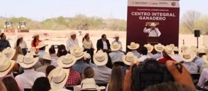 Exportarán ganaderos de Sonora carne a Estados Unidos