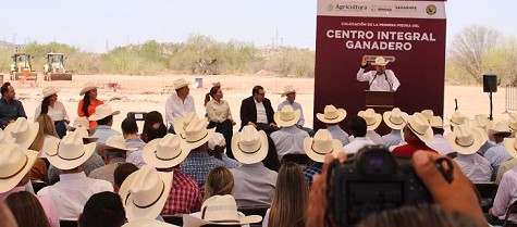 Exportarán ganaderos de Sonora carne a Estados Unidos