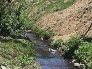 Fuera de norma en ríos del país la presencia de hidrógeno