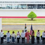 En operación planta de moscas estériles para combate al GBG