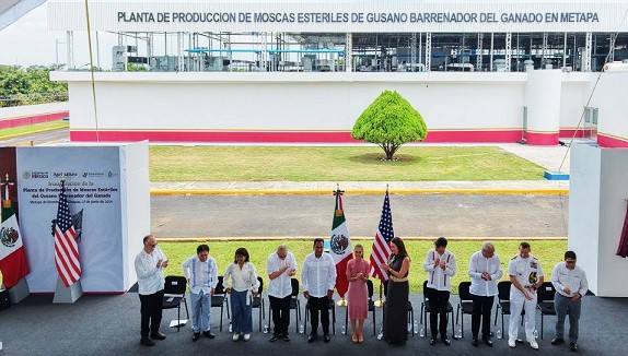 En operación planta de moscas estériles para combate al GBG