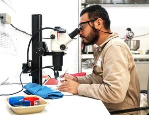 Incrementa cambio climático presencia de plagas y contaminantes