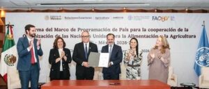 Destinará la FAO 140.0 millones de dólares para sistemas alimentarios