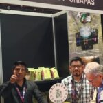 Cafeticultores de Chiapas a la conquista del mercado interno