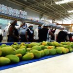 México oferta agroalimentaria para los países árabes