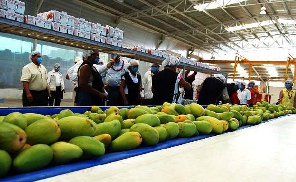 México oferta agroalimentaria para los países árabes