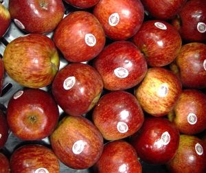 Aumenta la producción de manzana 50%