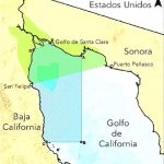 Restringe Semarnat área de protección a Vaquita Marina