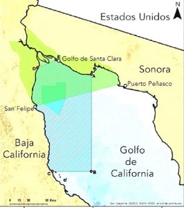 Restringe Semarnat área de protección a Vaquita Marina