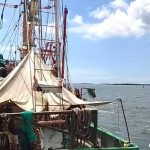 Zarpan los primeros barcos camaroneros de los litorales del país