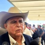 Cae precio del ganado, pero la carne no baja: CNOG