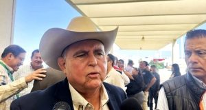 Cae precio del ganado, pero la carne no baja: CNOG