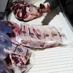 Llaman ganaderos cancelar arancel cero a importación de carne