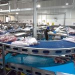 Inició México exportación de carne de cerdo a Filipinas