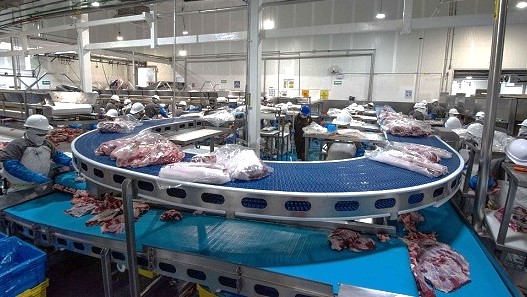 Inició México exportación de carne de cerdo a Filipinas