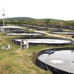 Descuento de 50% a las unidades acuícolas en 2027