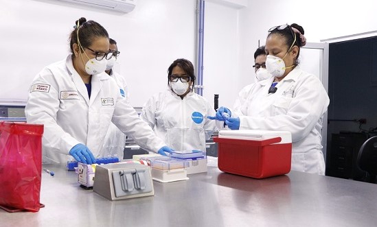 Negativa la presencia de fiebre aftosa de bovino en Sonora
