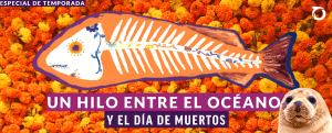 Esqueleto del pez globo en el corazón de Tenochtitlán: Oceana