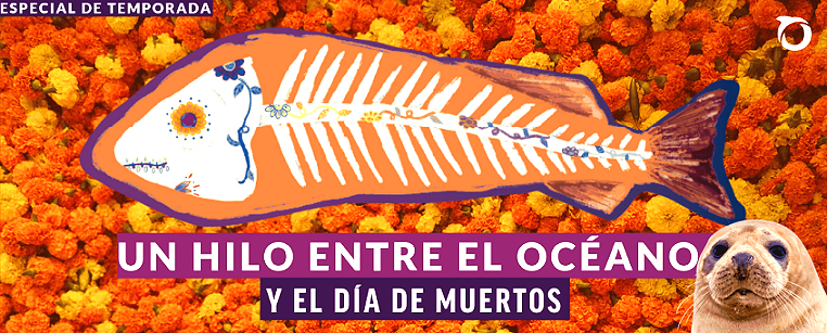 Esqueleto del pez globo en el corazón de Tenochtitlán: Oceana